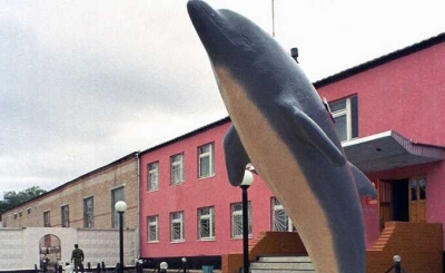 "Били молотком по голени": новые зверства в «Черном дельфине»